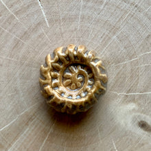 Spiral Focal Bead VI